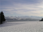 200801-Berti Geburtstag-Fruehling006